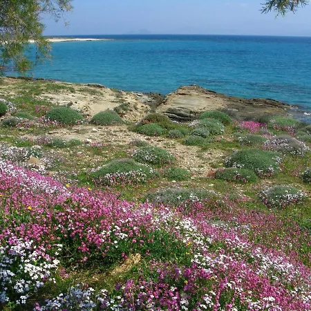 Pleasant In Piso Levadi Near Kalogeros Beach Lejlighed Páros
